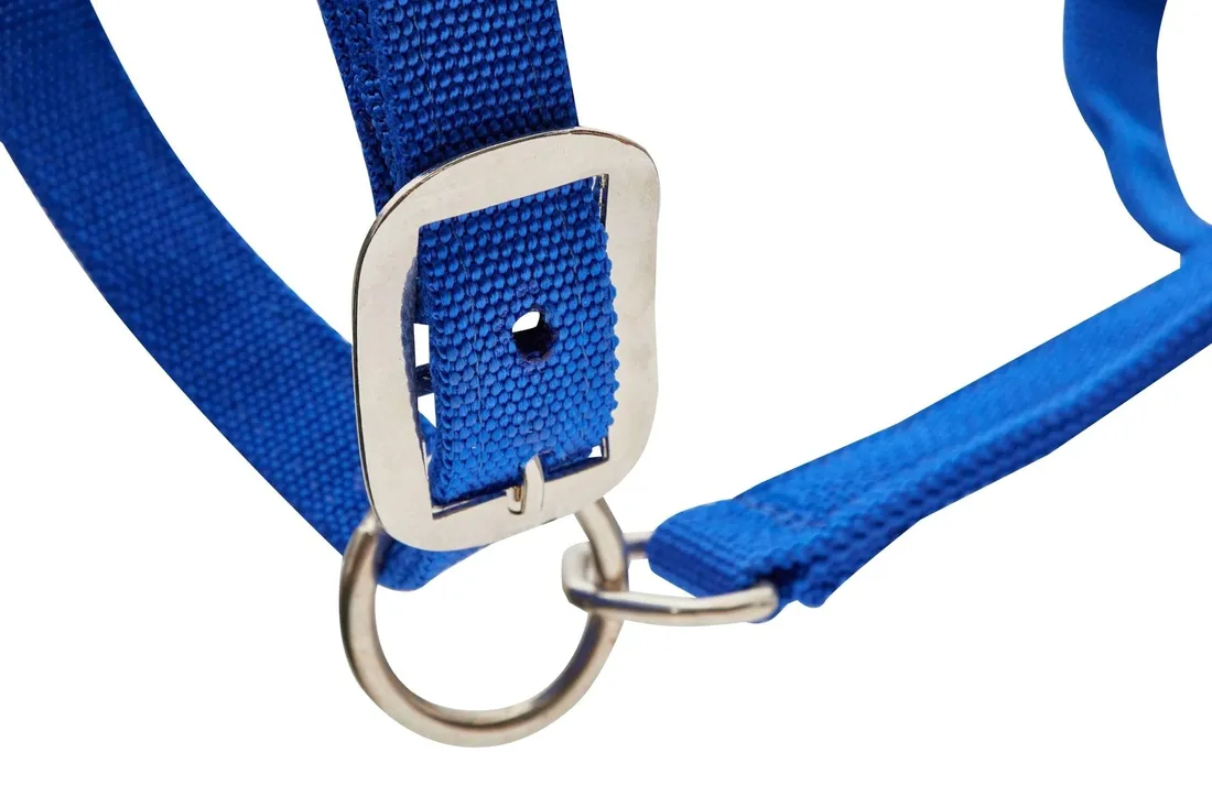 kantar-dla-bydla-niebieski-kerbl-stan-nowy