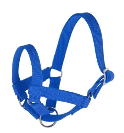 kantar-dla-lam-i-alpak-roz-60-niebieski-kerbl