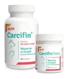 dolfos-carcifin-90-tabletek-postac-tabletki
