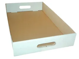 100-szt-karton-tacka-paczki-ciasto-300x200x70-biala