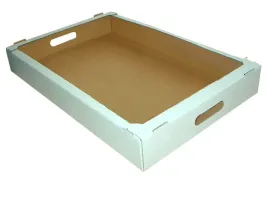 50-szt-karton-tacka-paczki-ciasto-400x300x70-biala