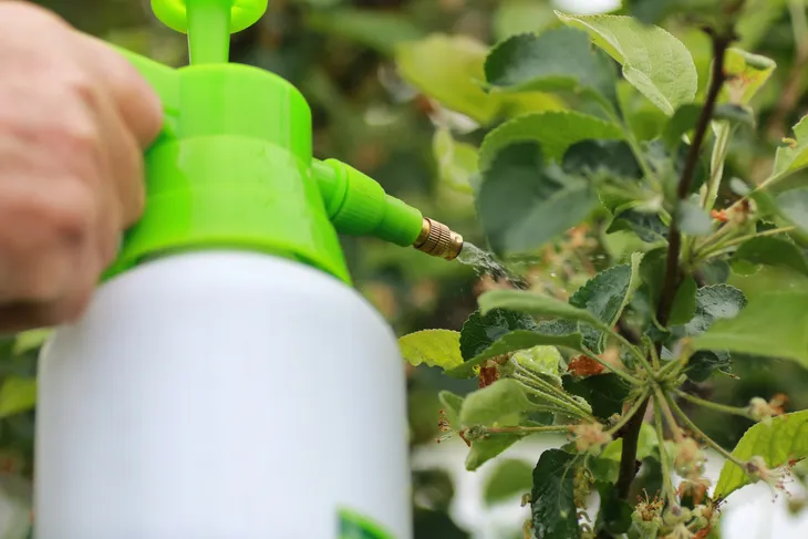opryskiwacz-cho-kompresyjny-3l-marka-gardenline