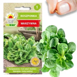 w1186-roszponka-warzywna-nasiona-roszponki-bogate-w-witaminy-salata-1g