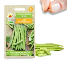 w1046-fasola-szparagowa-tyczna-zielone-straczki-hilds-neckarkonigin-nasiona