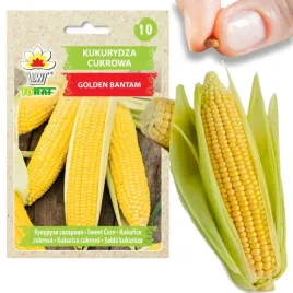 w1097-kukurydza-nasiona-kukurydzy-cukrowa-golden-bantam-oryginalne-slodka-2