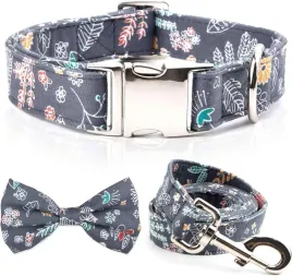 smycz-z-obroza-dla-psa-regulowana-1-5m