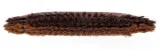 szczotka-do-parkietu-vileda-2w1-kod-producenta-136082