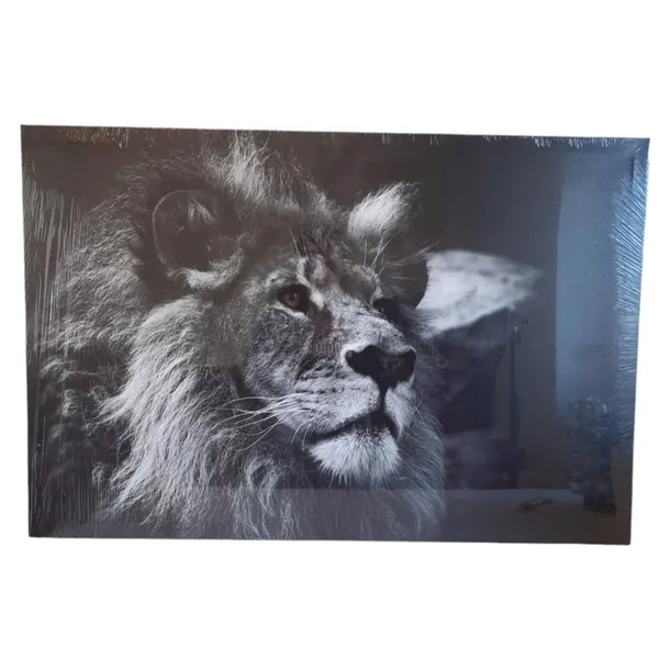foto-obraz-na-plotnie-lew-61-x-91-cm-material-ramy-drewno