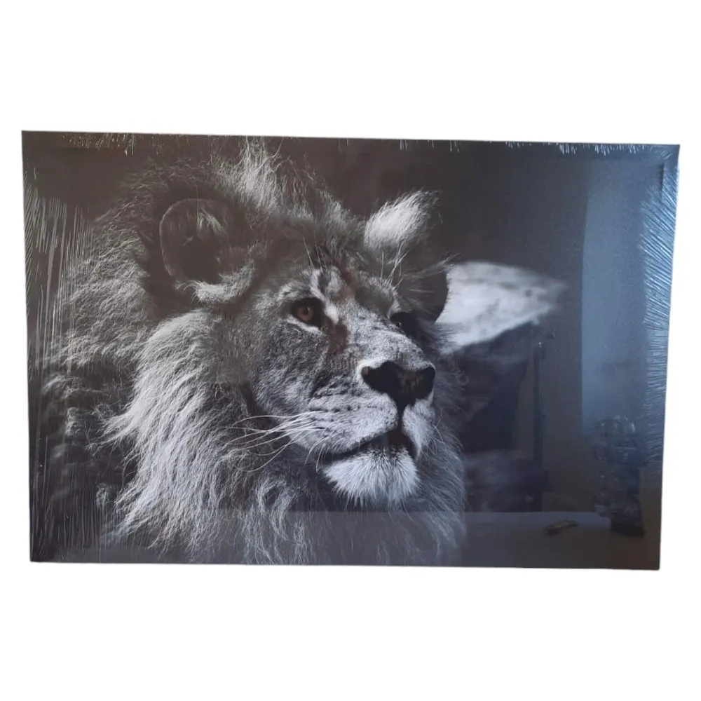 foto-obraz-na-plotnie-lew-61-x-91-cm