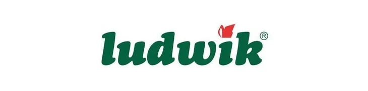 ludwik-5l-plyn-do-naczyn-mieta-nazwa-handlowa-ludwik-mieta