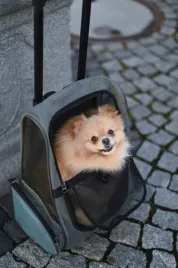 torba-podrozna-na-kolkach-dla-psa-vacation-41-x-26-x-55-x-103-cm-szaro-ni