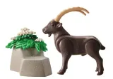 playmobil-71062-wiltopia-alpaka