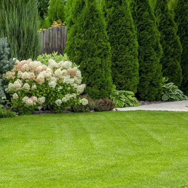 yara-mila-complex-hydrocomplex-25kg-yaramila-kod-producenta-mila-complex