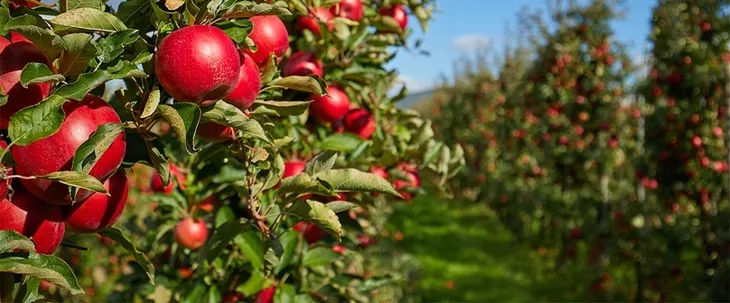 yara-mila-complex-hydrocomplex-25kg-yaramila-stan-nowy-waga-25-kg