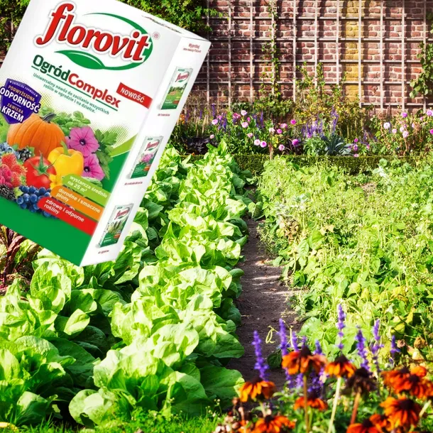nawoz-ogrod-complex-1kg-florovit-stan-nowy-waga-1-kg