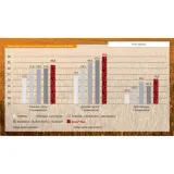 kinto-plus-1l-zaprawa-nasienna-waga-1-2-kg