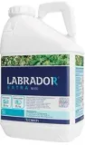 labrador-extra-50ec-10l-chwasty-perz