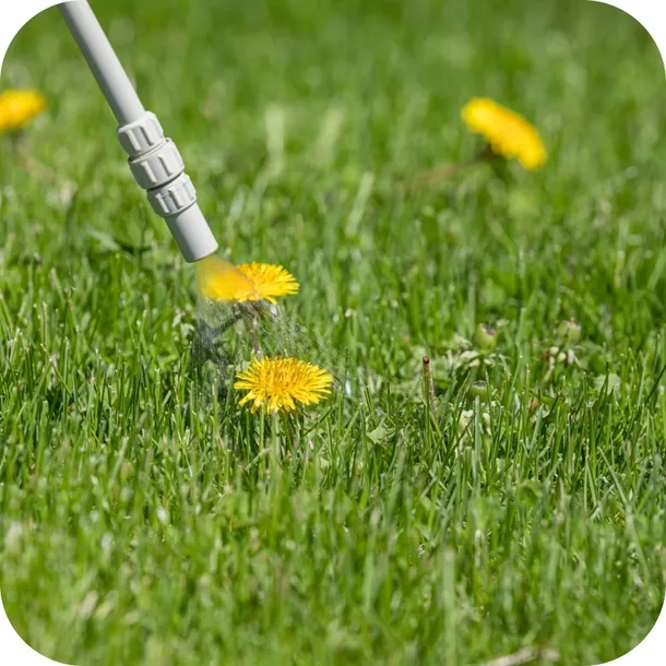 roundup-360sl-plus-5l-randap-stan-nowy-forma-plyn