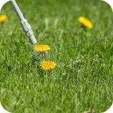 roundup-360sl-plus-5l-randap-stan-nowy-forma-plyn