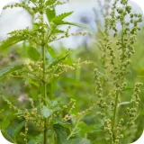 roundup-360sl-plus-5l-randap-stan-nowy-kod-producenta-5411773119649