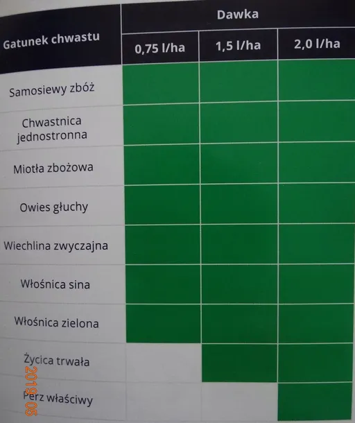 labrador-extra-50ec-10l-chwasty-perz-forma-plyn-stan-nowy
