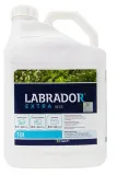 labrador-extra-50ec-10l-chwasty-perz-forma-plyn-zastosowanie-przeciwko-chwastom