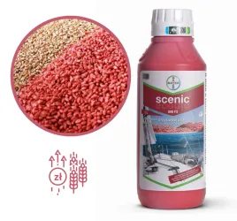 zaprawa-scenic-080fs-1l-na-1-tone