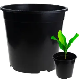 tg72941-doniczka-produkcyjna-doniczki-p24-75l-okragla-rozsadowa-z-rantem-2