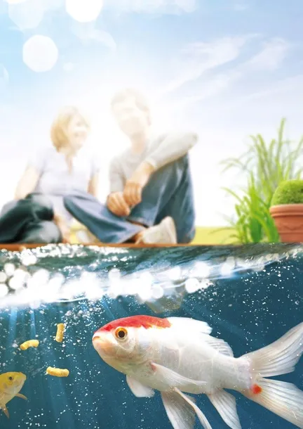 tetra-pond-algorem-500ml-stan-nowy-forma-plyn