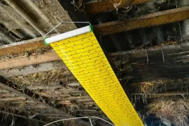 lep-na-muchy-w-rolce-flymaster-9-m-x-30-cm-cit