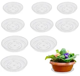 lanmok-przezroczysty-podklad-do-roslin-9-szt-pla