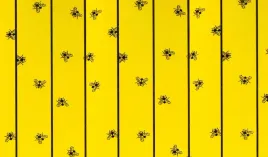 lep-na-muchy-w-arkuszach-flymaster-595-x-30-cm-6-szt-cit