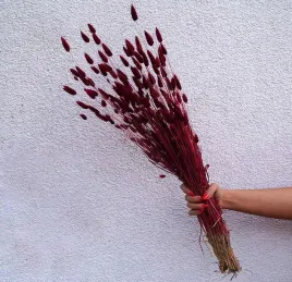 suszony-bukiet-zdzbla-traw-lagurus-bordowy-40-70cm
