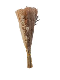 trawa-pampasowa-suszona-dekoracja