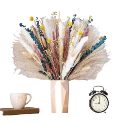 suszone-kwiaty-trawa-pompasowa-100szt