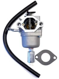 gaznik-briggs-straton-11-19km-591731-594593-794572