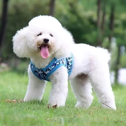 szelki-dla-psa-ze-smycza-regulowane-l-niebieska-kod-producenta-0001