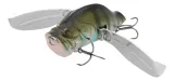 adusta-zacrawl-yajirobee-013-blue-gill
