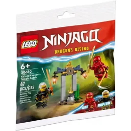 lego-ninjago-30650-bitwa-kaia-i-raptona-w-swiatyni