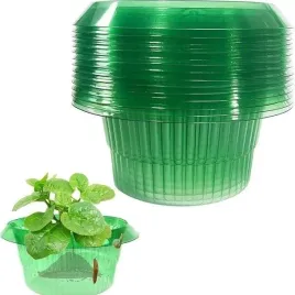 oslona-do-warzyw-na-slimaki-szkodniki-salaty-sadzonek-skuteczna-eko-10sztuk