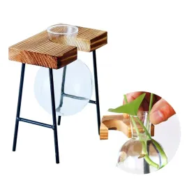 donica-ozdobna-szklana-drewno-hydroponika-ukorzeniacz-1szt-stojak-bambus