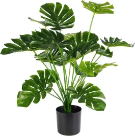 sztuczna-roslina-monstera-deliciosa-50-75-cm-duza-ozdoba-realistyczna-xl