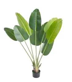 sztuczna-roslina-palma-bananowiec-egzotyczny-w-doniczce-realistyczny-150cm