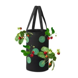 doniczka-wiszaca-worek-pomidory-koktajlowe-truskawki-poziomki-kieszenie-35