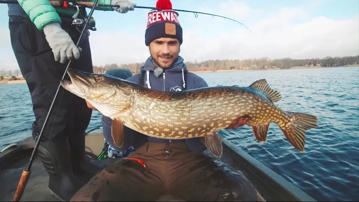kopyto-guma-manns-predator-2-65cm-marka-inna-marka