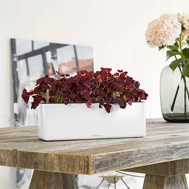 donica-cube-glossy-triple-bialy-polysk-lechuza-ksztalt-prostokatny
