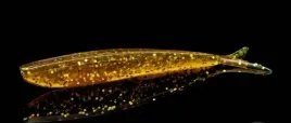 jaskolka-4-fin-s-fish-lunker-city-10cm