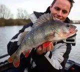savage-gear-3d-bleak-paddle-tail-white-silver-8cm-marka-inna-marka-przeznaczenie-okonie-sandacze-szczupaki