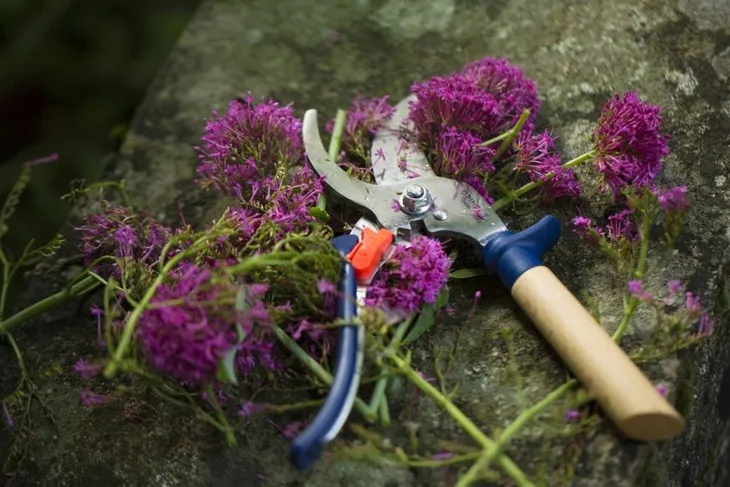 opinel-sekator-ardoise-001627-stan-nowy-zasilanie-reczne