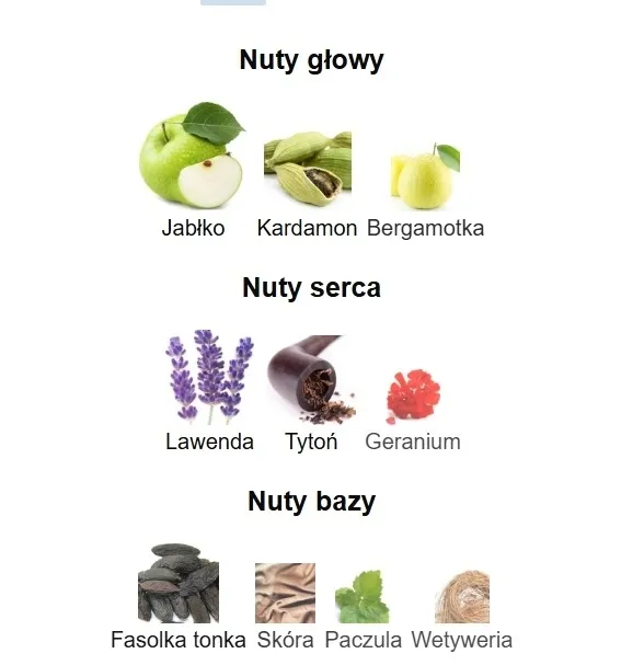 lattafa-jasoor-edp-100-ml-grupa-zapachowa-cytrusowa